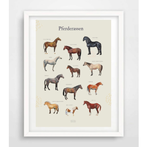 Artprint A3 Poster Pferderassen