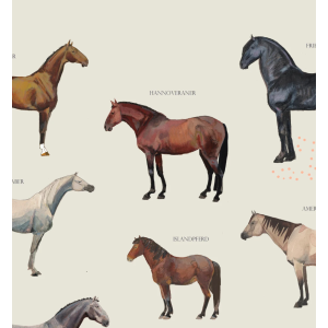 Artprint A3 Poster Pferderassen