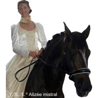 F.R.A. Alizée Mistral