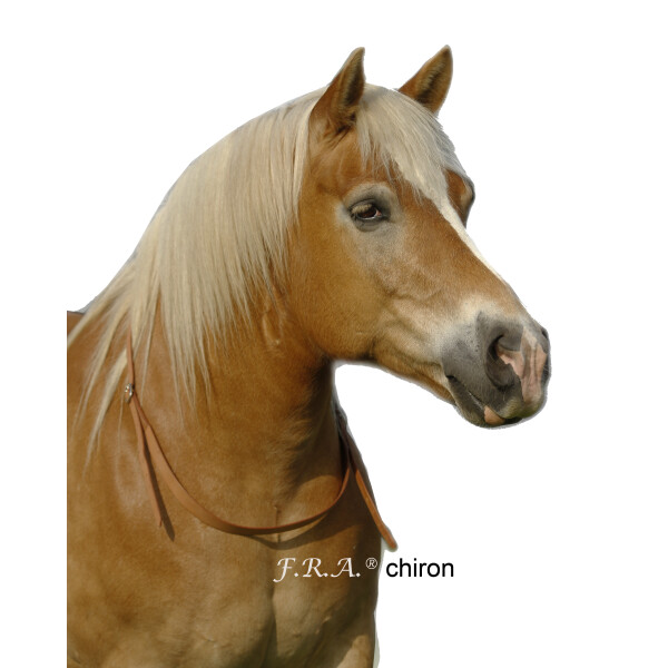 F.R.A. Balancezügel Chiron