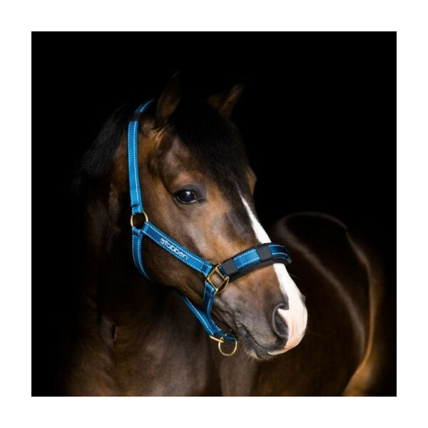 Stübben Stallhalfter mit reflektierenden Nähten Warmblut