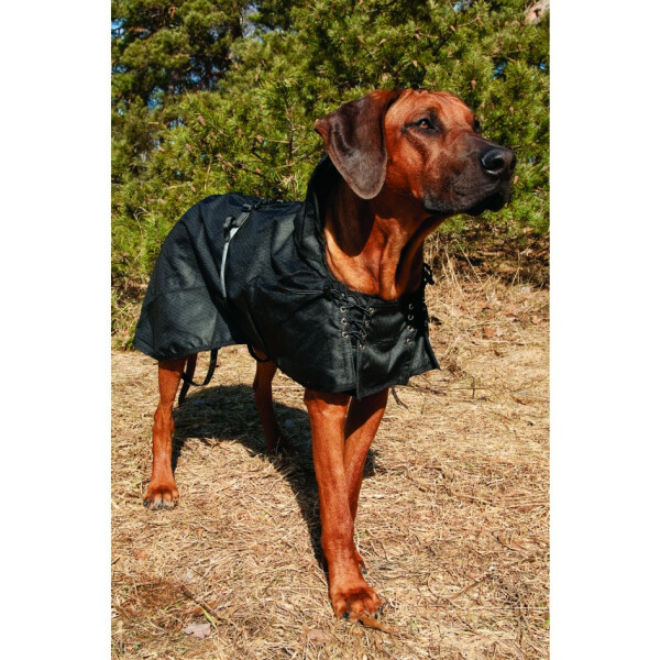 Back on Track ungeftterter Hundemantel | wasserdicht, 64,00